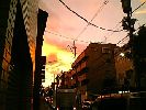 二子玉川のグルメブログ