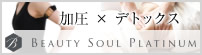 �G�X�e�~�����r���[�e�B�[�\�E���v���`�i����q�ʐ�