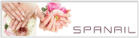 �X�p�l�C����q�ʐ색�C�YS.C.�X