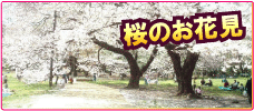 二子玉川で初春を楽しむ梅のお花見