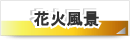 多摩川＆たまがわ花火大会（世田谷＆川崎)の花火風景・二子玉川
