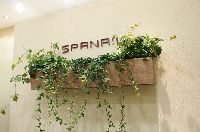 SPANAIL(�X�p�l�C��)��q�ʐ색�C�YSC�X�l�C��