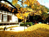 九品仏浄真寺