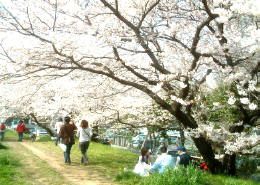 玉川東陸閘