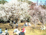 駒沢公園