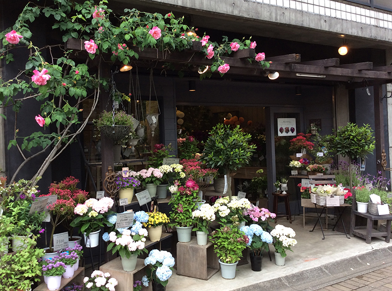select flower shop filigrane