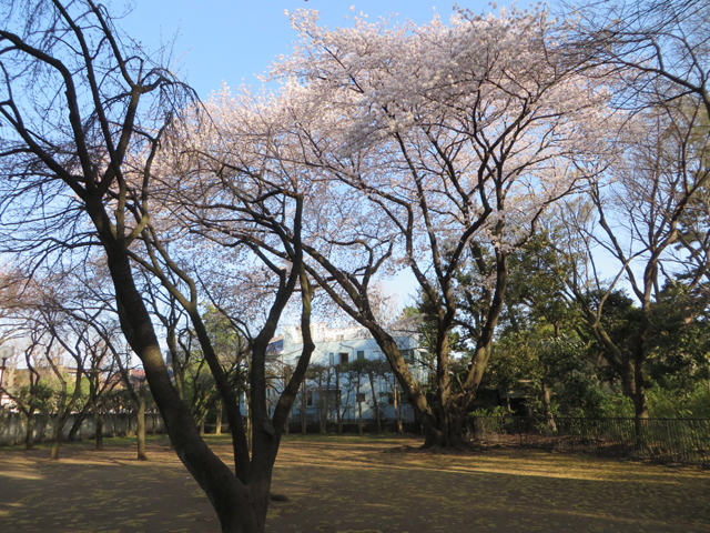 上野毛自然公園