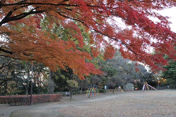 多摩川台公園