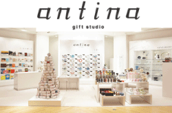 antina gift studio AeBi MtgX^WI