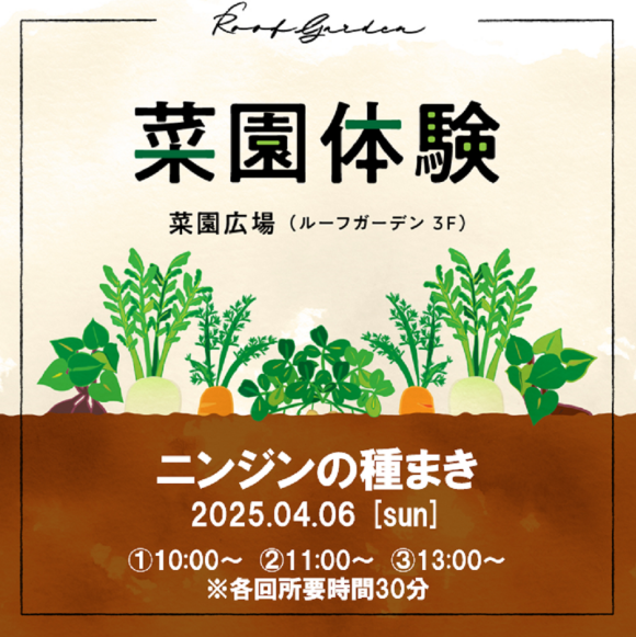 菜園体験（ニンジンの種まき）開催のお知らせ