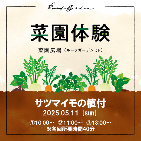 菜園体験（サツマイモの植付）開催のお知らせ