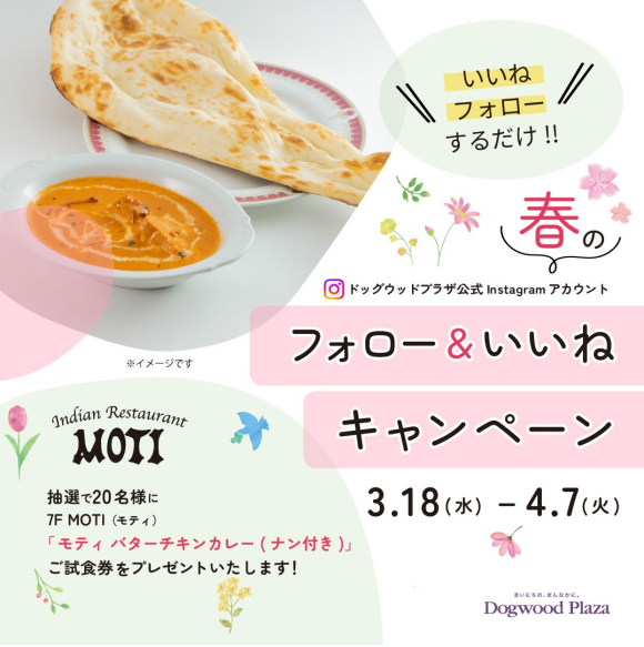 春のインスタフォローキャンペーン