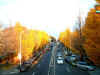 street_komazawa_autum.JPG (52030 oCg)