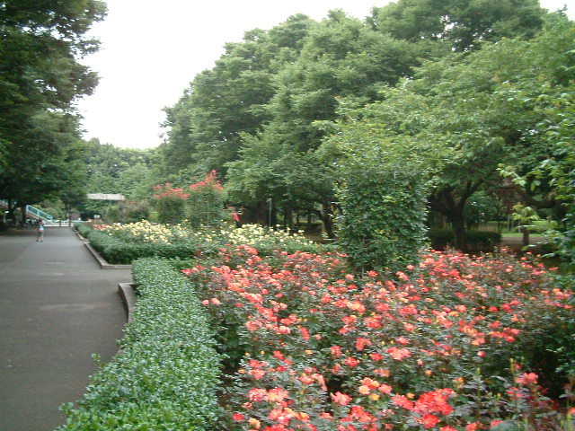 世田谷区立総合運動場