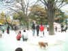 dog_play_park_real_03.JPG (63442 oCg)