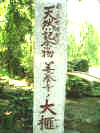 tree_sign.JPG (66950 バイト)