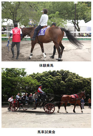 体験乗馬・馬車試乗会