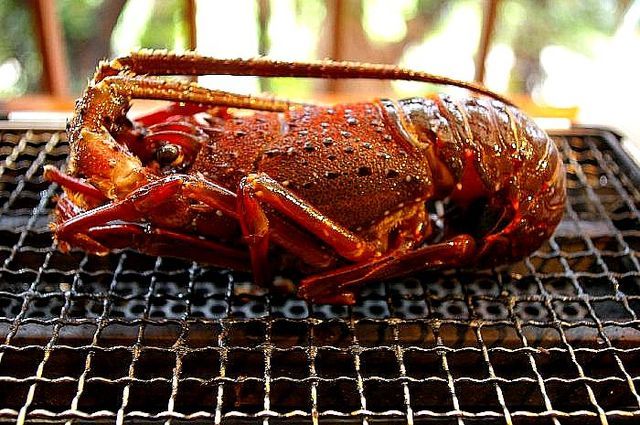 お魚（甲殻類） 