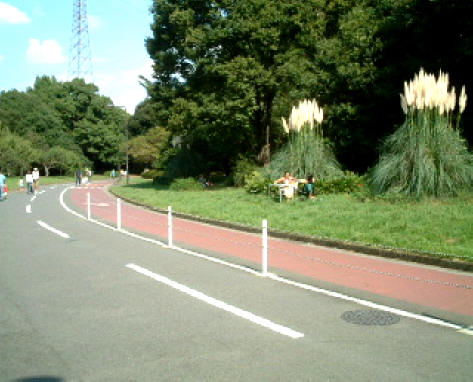 都立駒沢公園／ジョギング＆サイクリングコース