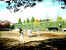 駒沢オリンピック公園　軟式野球場