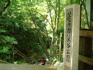 等々力駅入口 → 多摩川付近