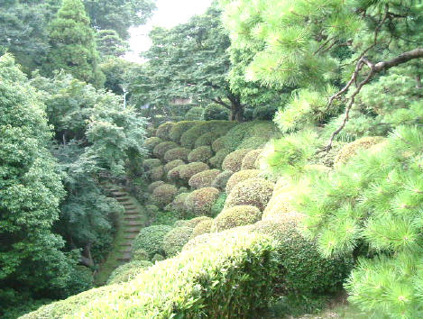 見晴らし台庭園の風景