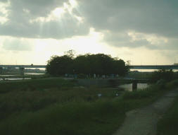 多摩川八景・池を囲む景観