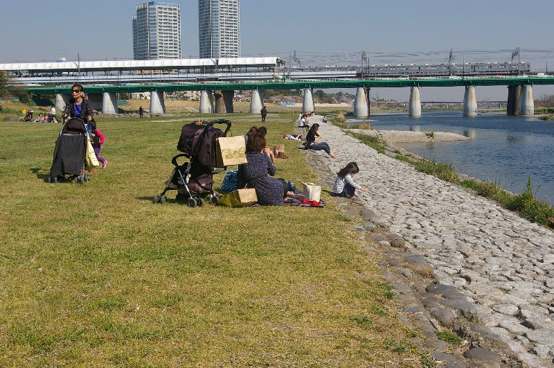 芝生の上で遊ぶ