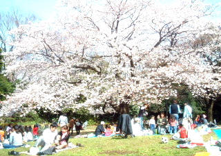 駒沢公園