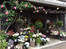 select flower shop filigrane