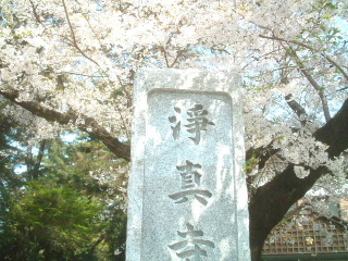 写真4