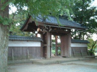 写真1
