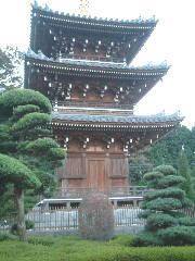 写真4