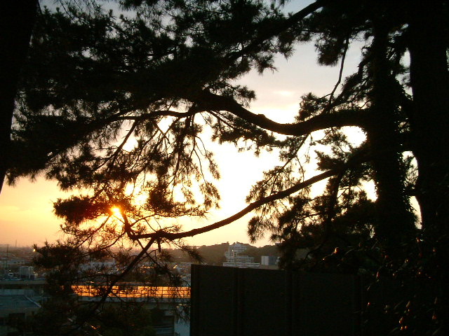 写真2