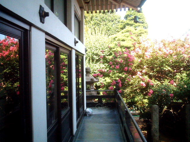 写真6