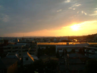 写真1