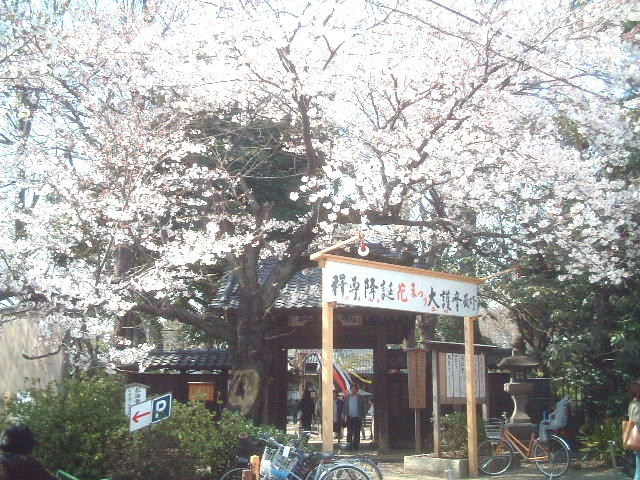 写真4
