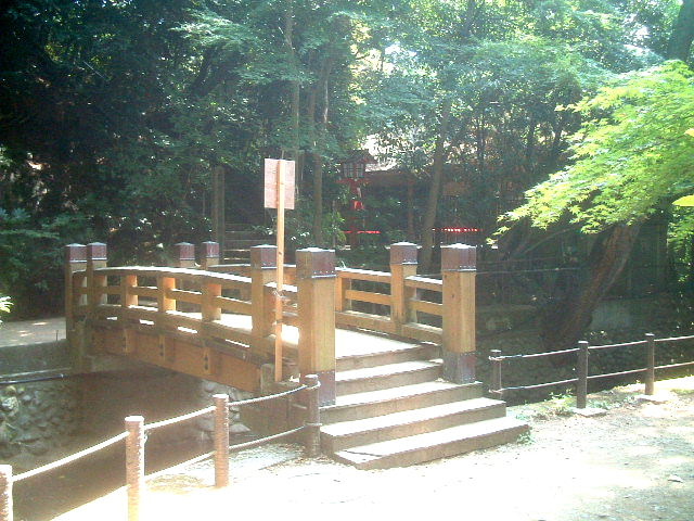 写真9