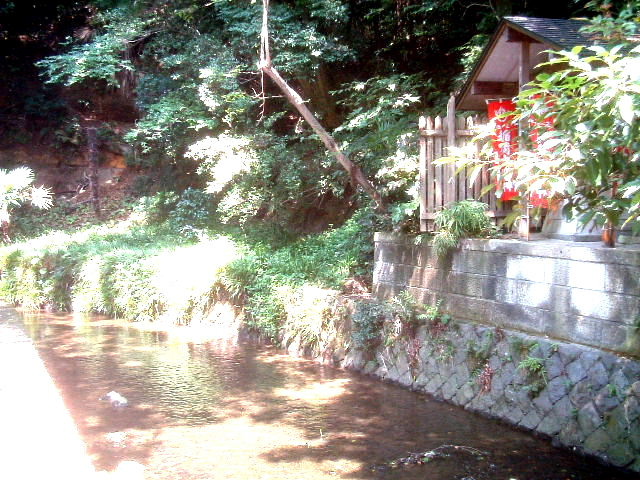 写真10