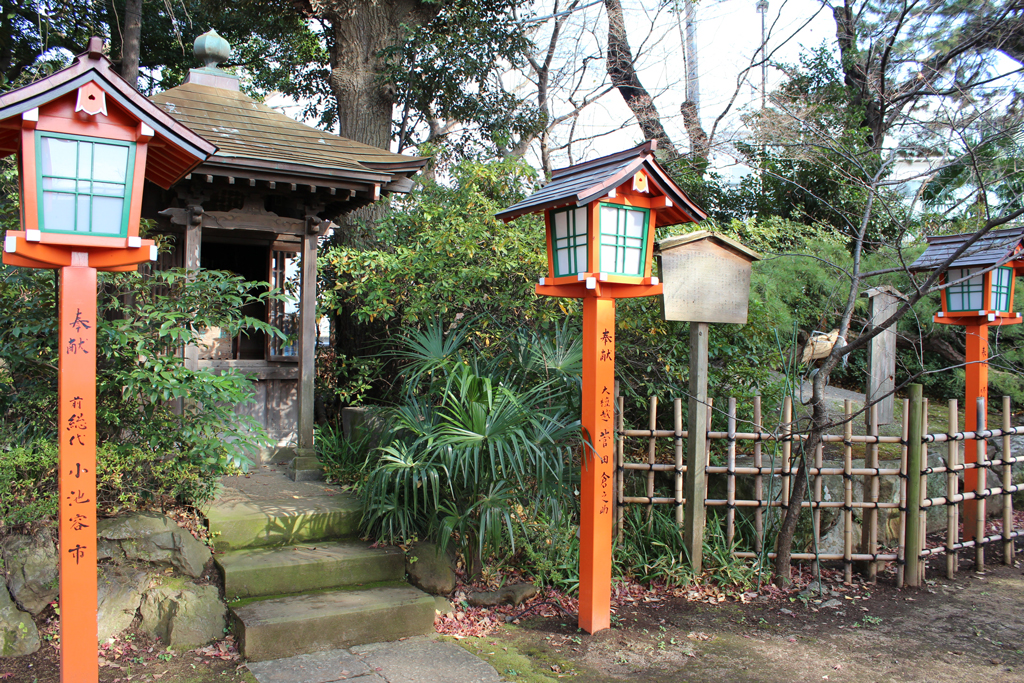 写真17