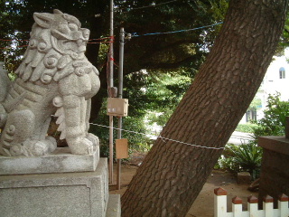写真7