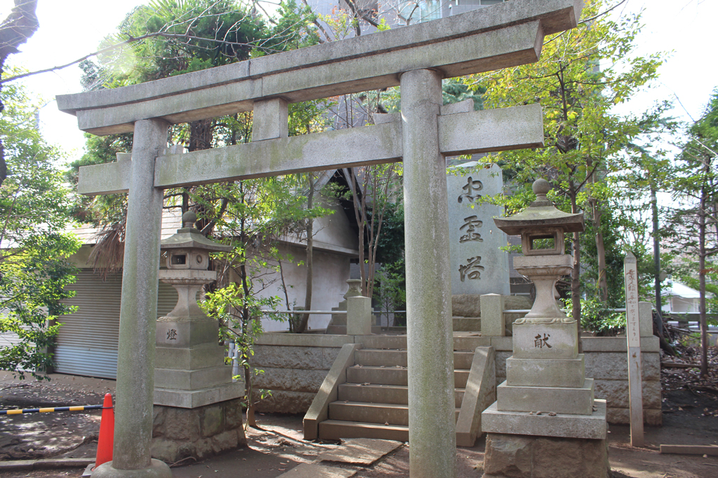 写真11