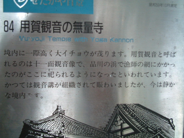由来