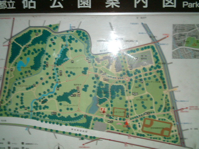 写真1