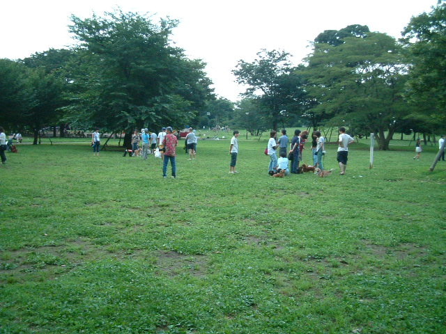 写真4