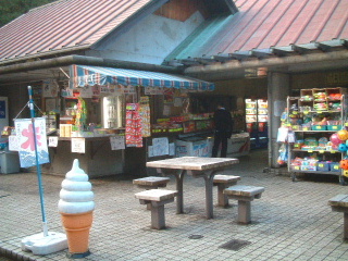 写真5