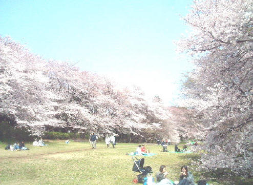 写真1