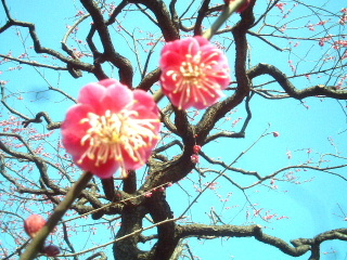 写真2