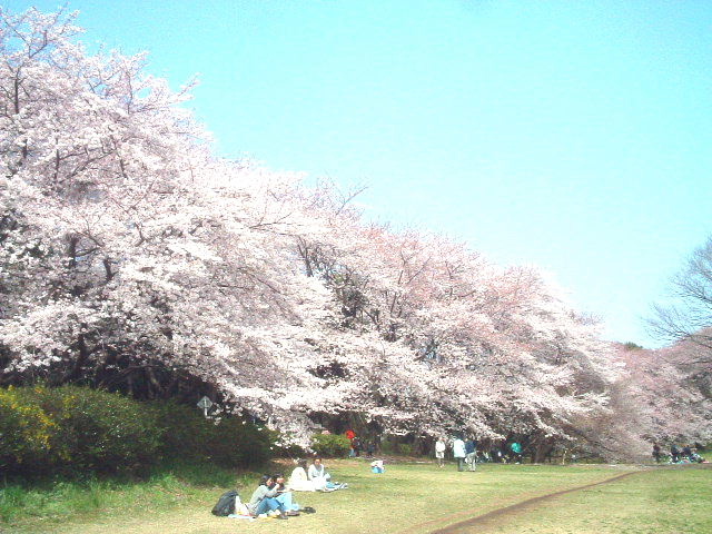 写真3
