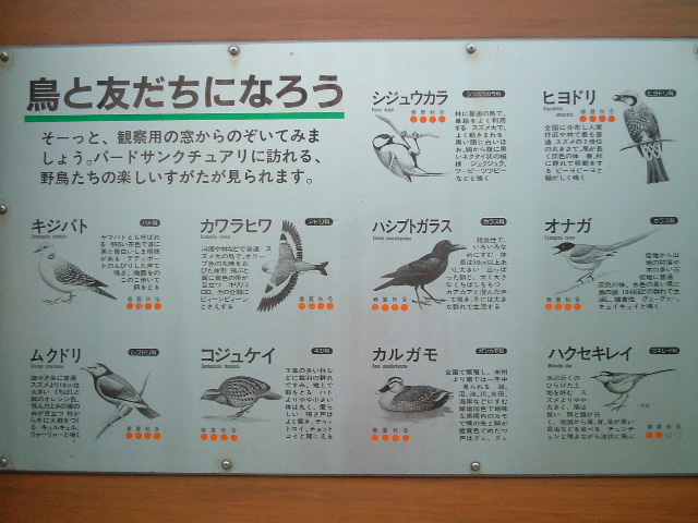 写真5